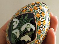 Snowdrops Pysanky Ukrainian Easter Egg by So Jeo : pysanky snowdrop snowdrops spring flower white green yellow pysanka ukrainian easter egg batik art sojeo florals flowers birds stars trees vines blooms buds bluebird owl art sojeo so jeo eggshell egg shell blown decoration ivy garden rainbow rosie posy nightshad victorian trees etched brown chicken eggs turkey